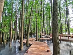 -东湖落雁景区