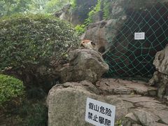 -静安公园(静安寺街道)