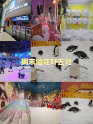 -第五极儿童乐园