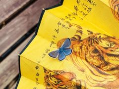 -西青郊野公园