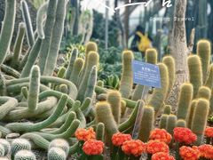 -南山植物园