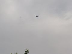-中国地质大学逸夫博物馆