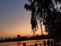 -海珠湖公园