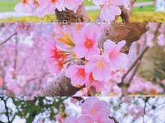 -静安雕塑公园