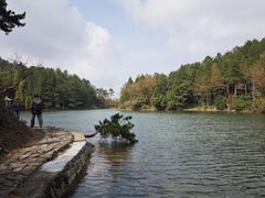 -四明山国家森林公园