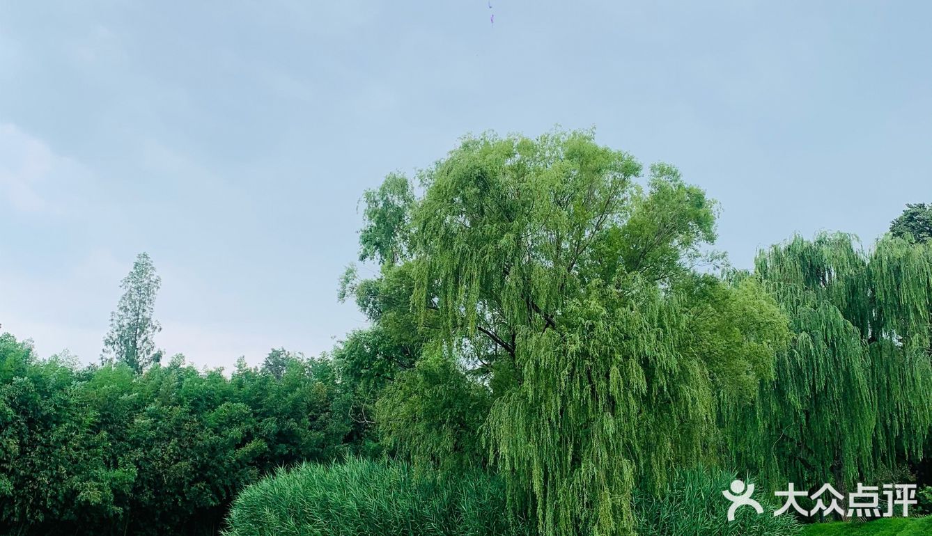 北京最值得去的免费公园｜紫竹院赏荷花🌸