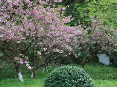 -杭州花家山庄