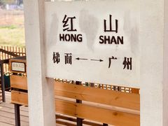 -红山村