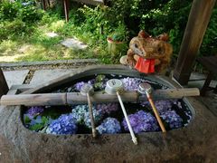 -京都冈本和服体验租赁店(清水寺店)