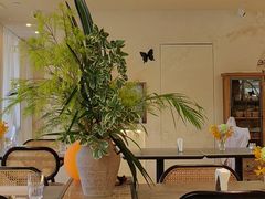 -HUATA 'Holiday Plan 花榻