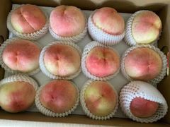 -南汇新场正宗水蜜桃采摘