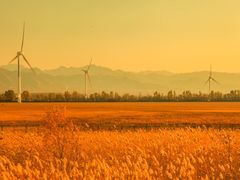 -野鸭湖国家湿地公园
