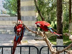 -北京野生动物园