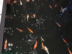 -顺丰国宴(工业博物馆店)
