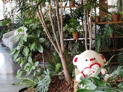 -云里小坐·海泉湾·团建·宴席·下午茶(金堂海泉湾店)