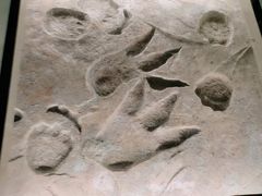 -湖南省地质博物馆