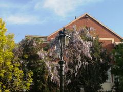 -天津五大道文化旅游区