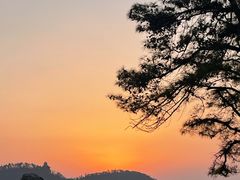 -东湖落雁景区