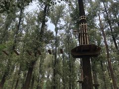 -顺鑫绿色度假村