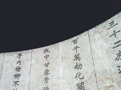 -印象普陀