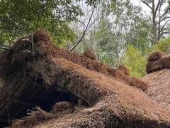 -成都杜甫草堂博物馆