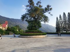-广州市石门国家森林公园