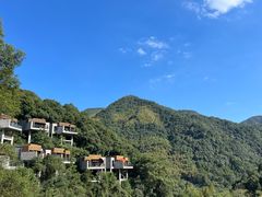 -宁海安岚·南溪阁全日餐厅