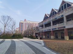 -星光岛
