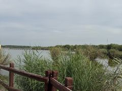 -西青郊野公园