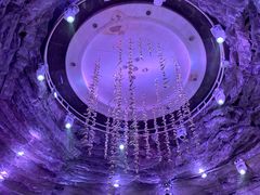 -世纪缘国际会议中心·中餐厅(百家湖店)