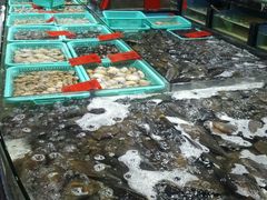 -渔傅·蓝海岸霞浦海鲜(正祥店)