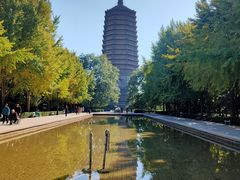-玲珑塔公园