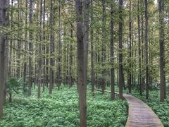 -上海怡沁园度假酒店