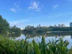 -江心屿景区
