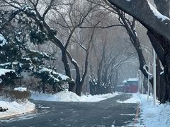 -辽宁友谊宾馆