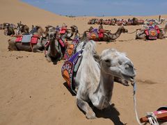 -银肯塔拉沙漠生态旅游景区