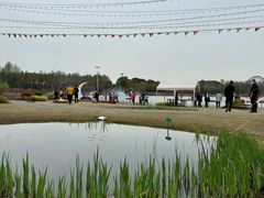 -苏州太湖国家湿地公园