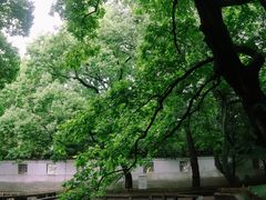 -西园戒幢律寺