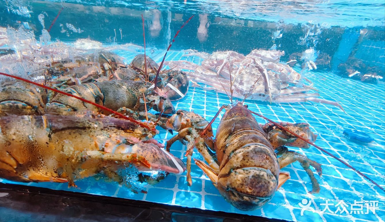 心意满满的暖心菜