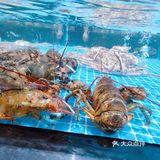 心意满满的暖心菜