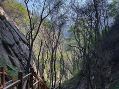 -大岭沟猕猴桃谷风景区