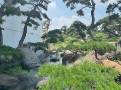 -罗红摄影艺术馆