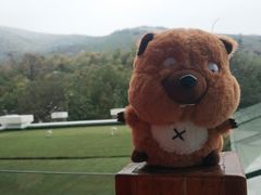 -天目湖御水温泉·度假酒店