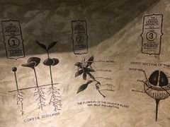 景观位-星巴克臻选(湖滨道店)