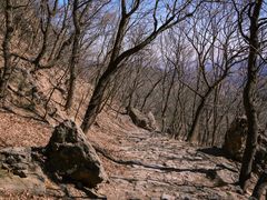 -妙峰山风景名胜区