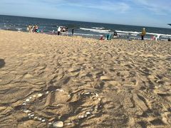 -汕头中海黄金海岸水上乐园