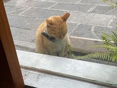 -知亘茶食