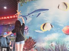 -嘉兴海底世界