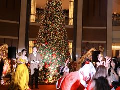 -深圳星河丽思卡尔顿酒店