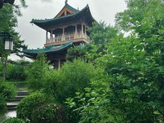 -迎泽公园